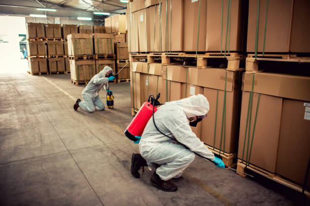 Best Residential Pest Control  in Kernersville, NC
