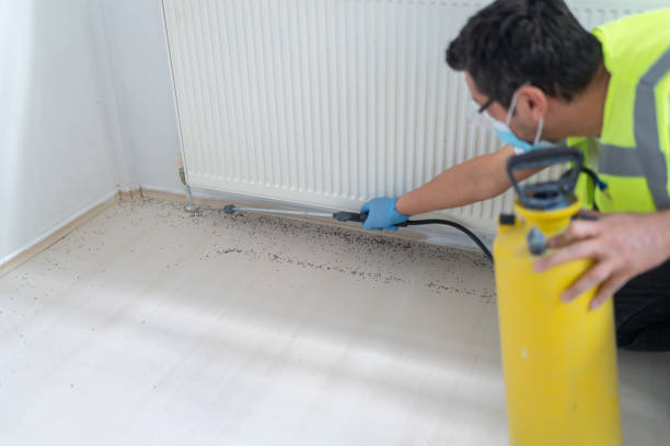 Best Termite Control Services  in Kernersville, NC